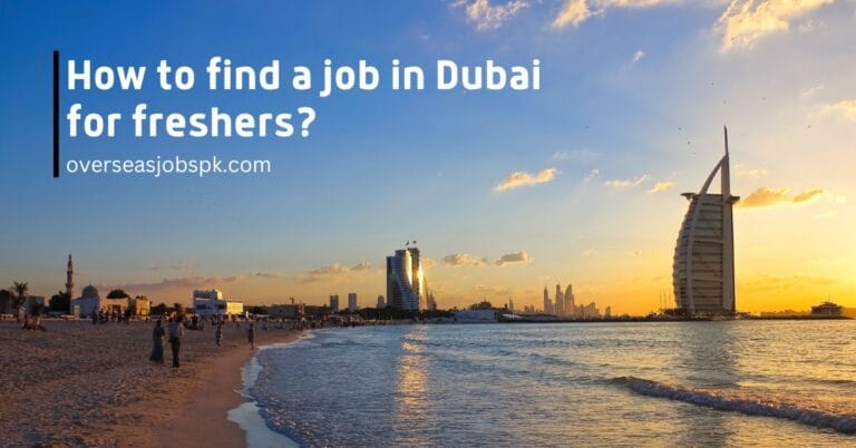 How to Find a Job in Dubai for Freshers?
