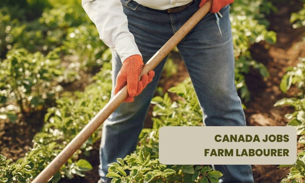 Farm labourer For Canada